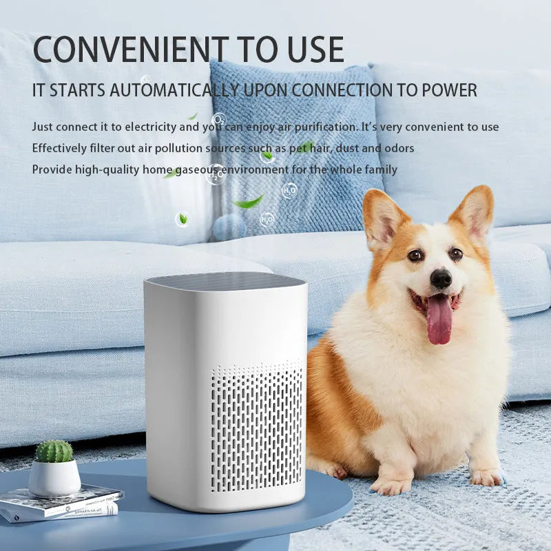 Simple style desktop air purifier with USB power port on a wooden desk.