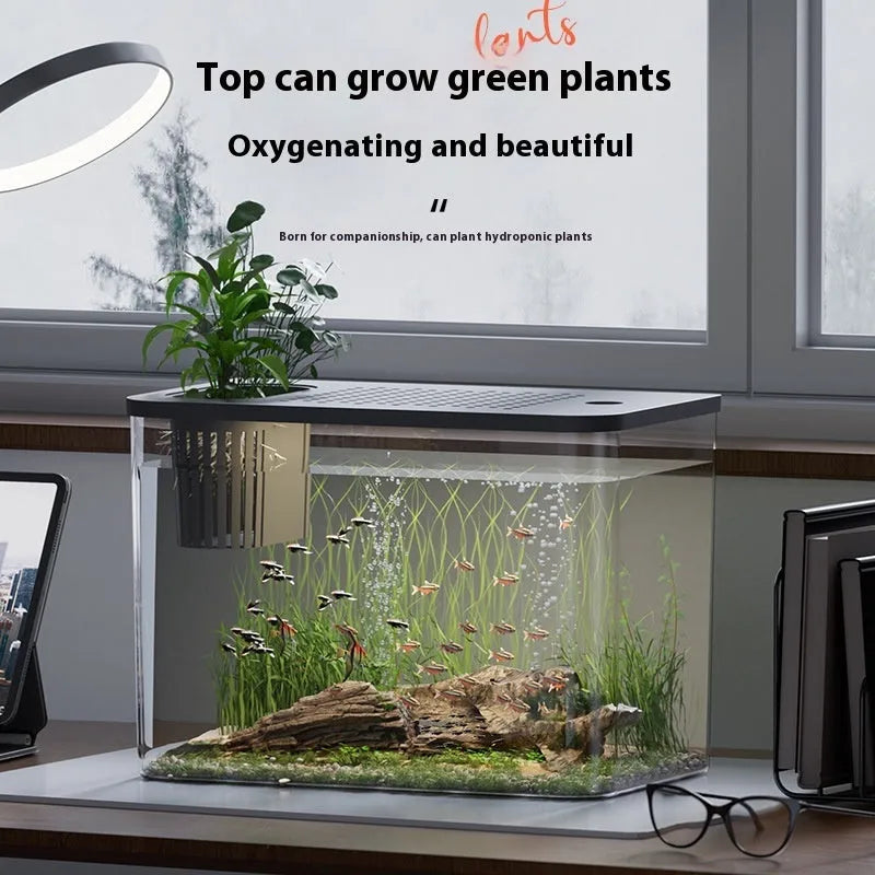 Mini ecological betta tank in black or white plastic with cover dimensions 32cm x 18.5cm x 23cm