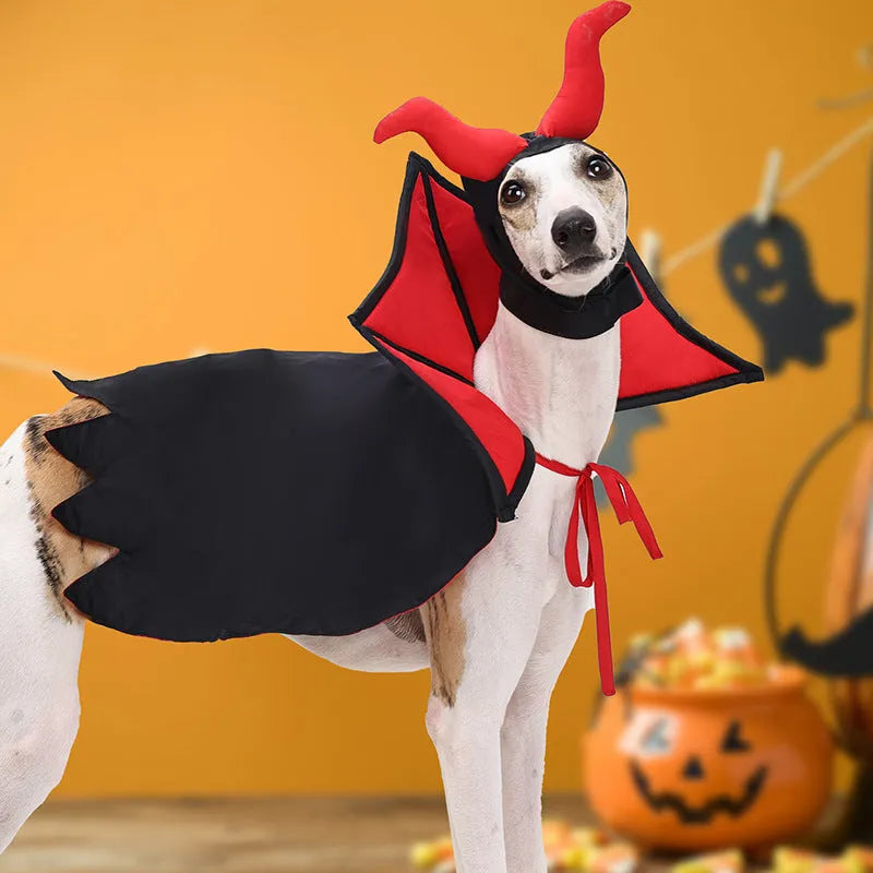 Black Halloween vampire costume for a pet, featuring a long cloak and pointed witch hat.