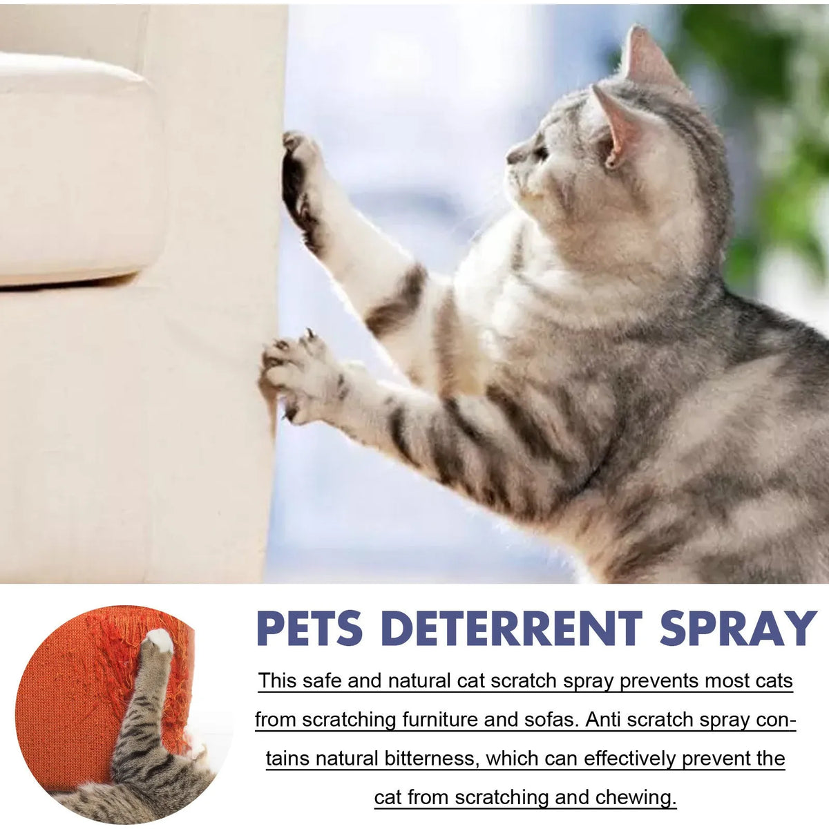 50ml pet repellent spray bottle for deterring scratching of furniture and doors