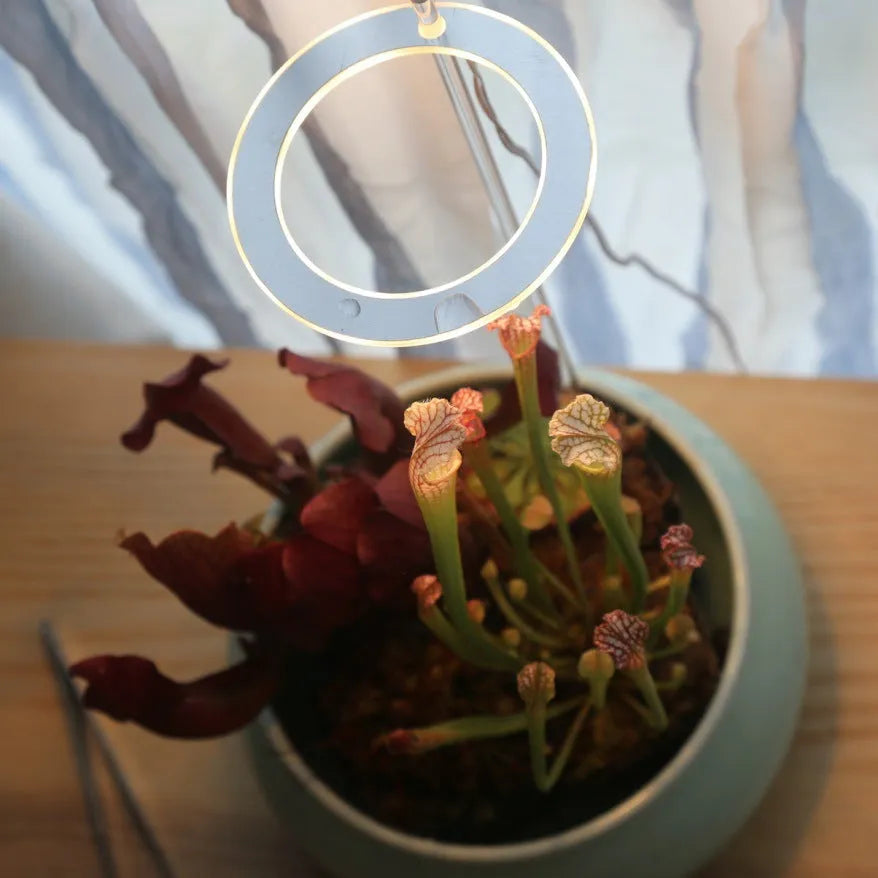 Transparent USB LED plant grow light with acrylic stick for indoor plants.