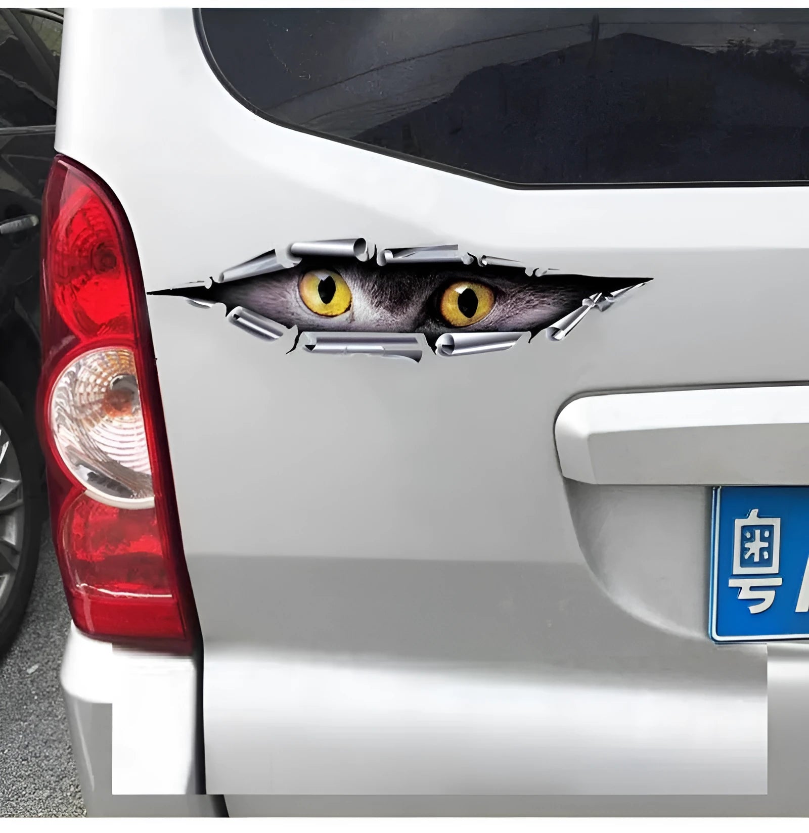 3D Tiger Eye and Eagle Eye car bumper sticker on vehicle door measuring 10x35cm