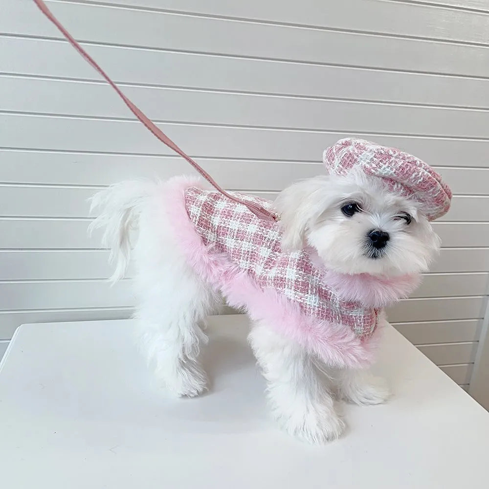 Pink cat costume set with cloak and beret for female cats with hand holding rope accessories