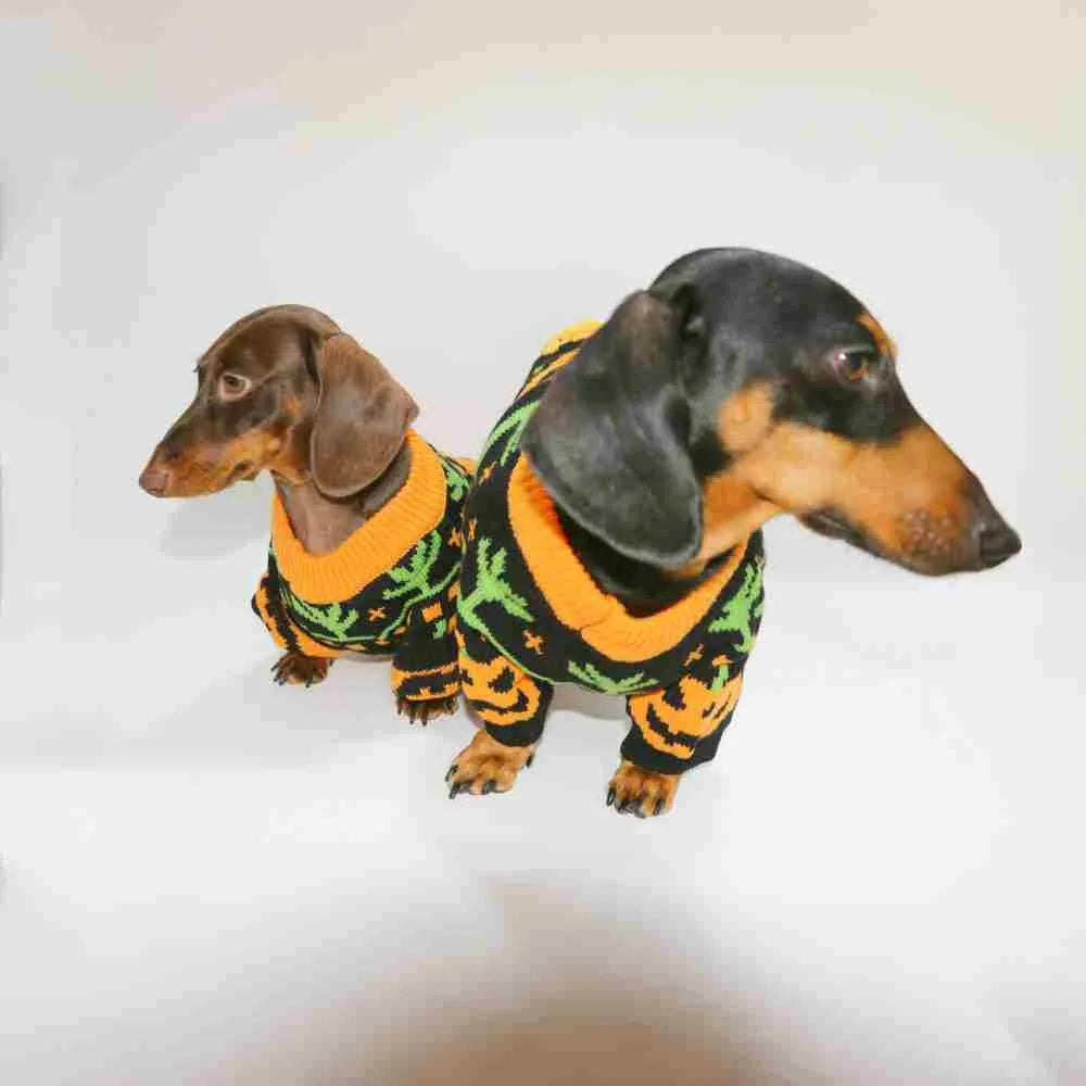 Pumpkin Halloween sweater for dogs and cats, polyester, sizes XS to XL, on a pet