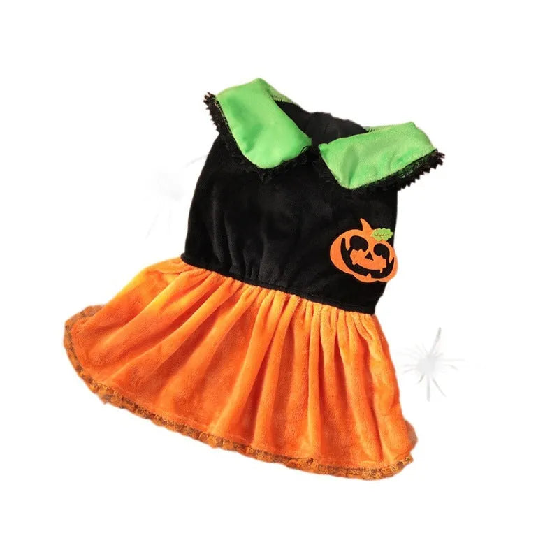 Pet dog wearing a classic orange pumpkin skirt Halloween costume made from Crystal Velvet fabric.