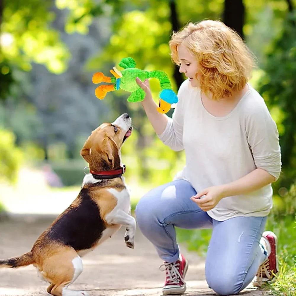Screaming chicken sound dog chew toy in durable rubber, available in black, green and orange colours