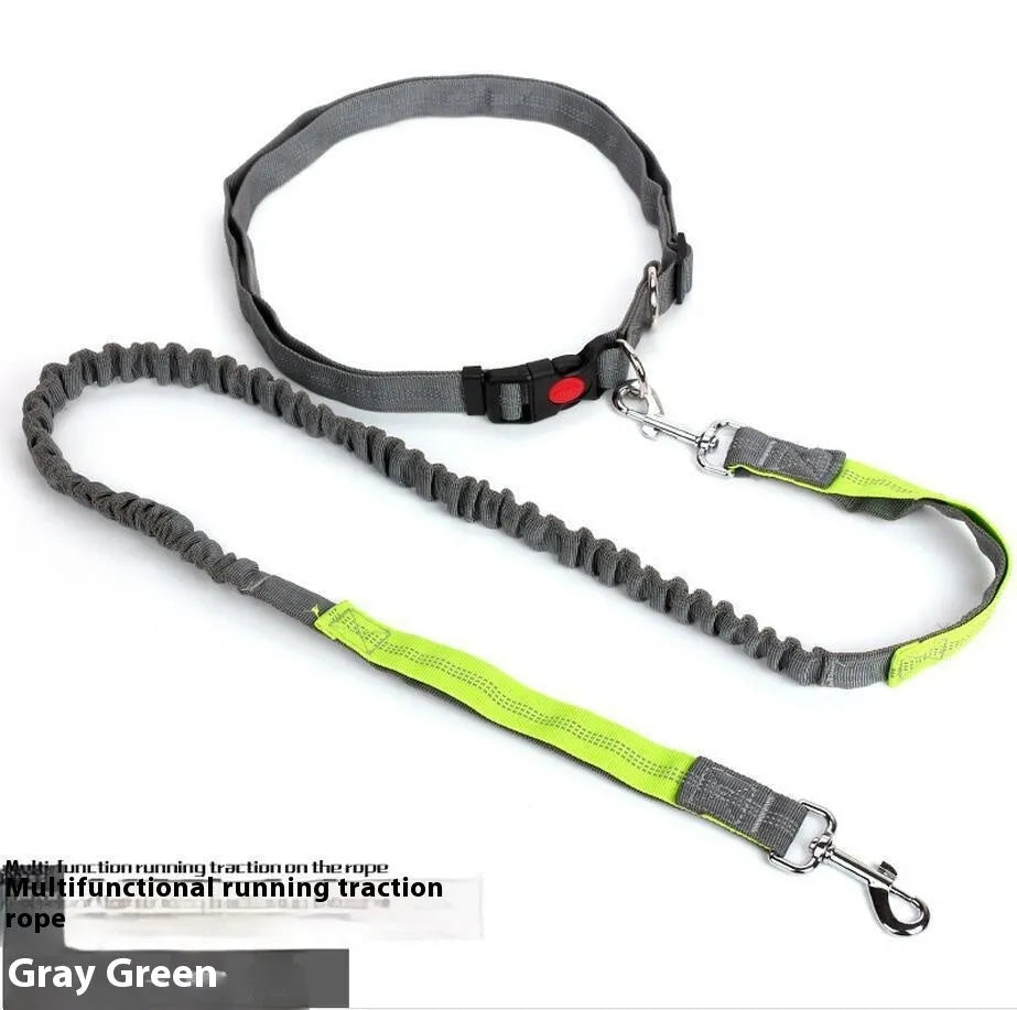 Reflective nylon dog leash with 2.5cm width shown in grey and green colour combination