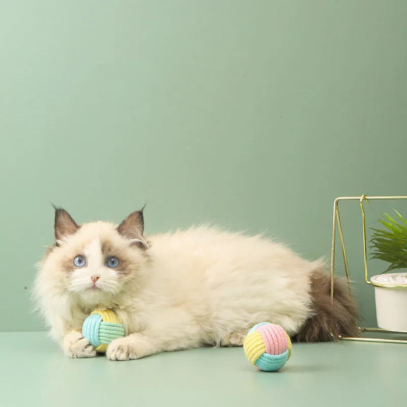 Handmade 5cm plush cotton cat toy in blue powder, green blue, and pink green colours