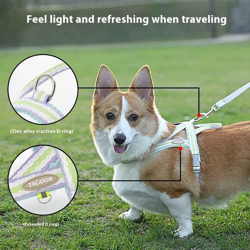 Lightweight dog harness with attached hand holding rope in sea salt yellow colour on a small dog