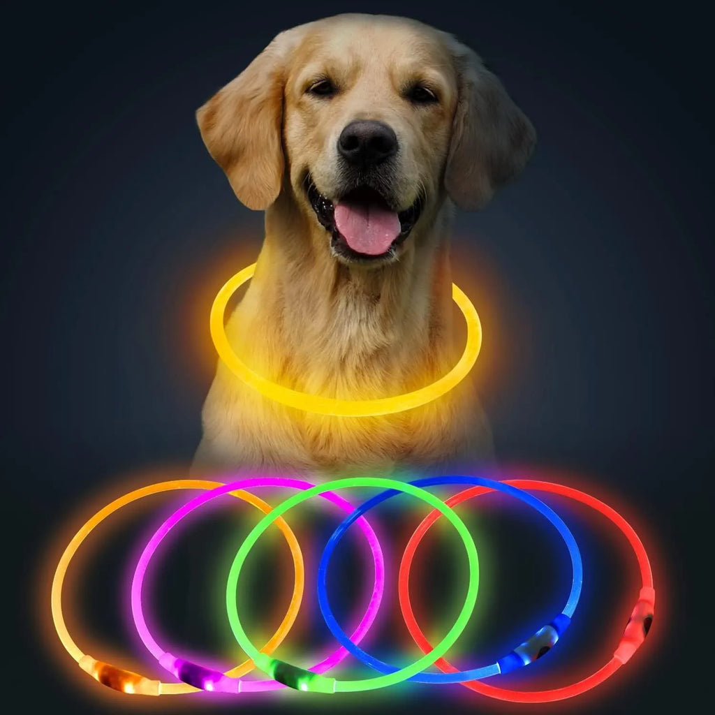 LED glowing dog collar with USB charging port and adjustable 70cm length