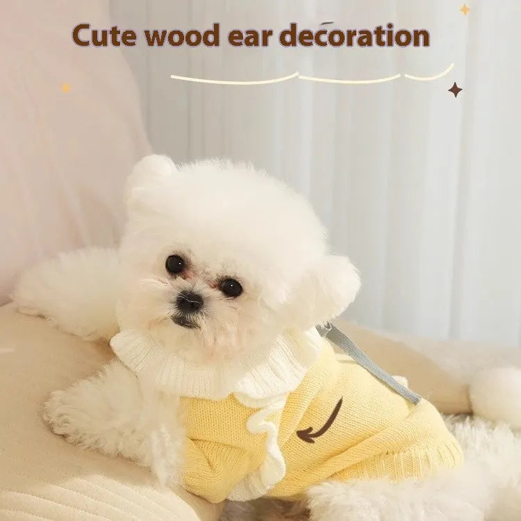 Yellow acrylic dog sweater for a small puppy on an autumn day