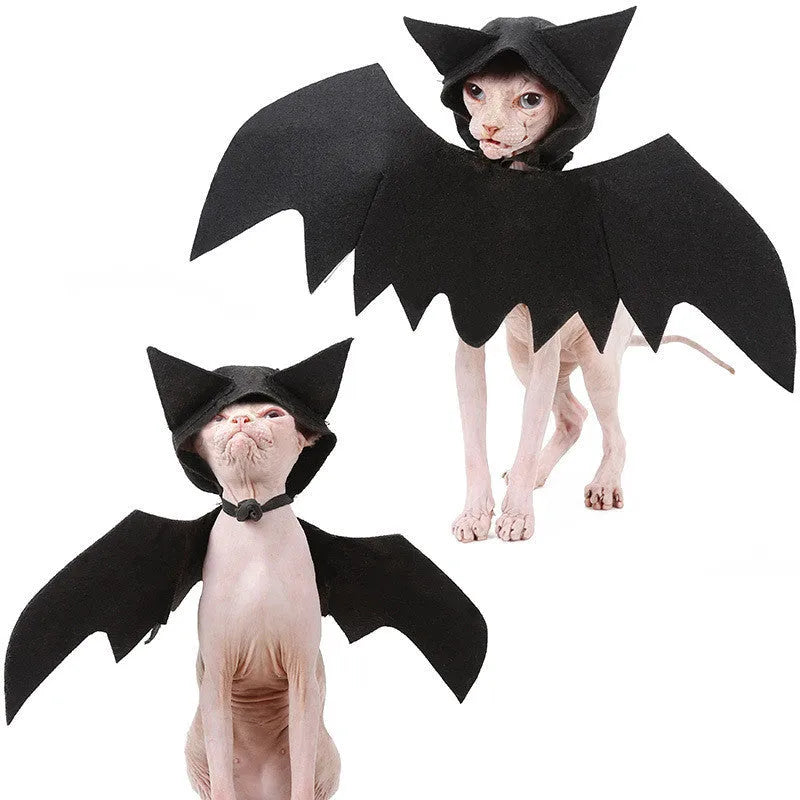 Black felt bat wing costume for cats and dogs with Velcro strap, size L shown on a pet