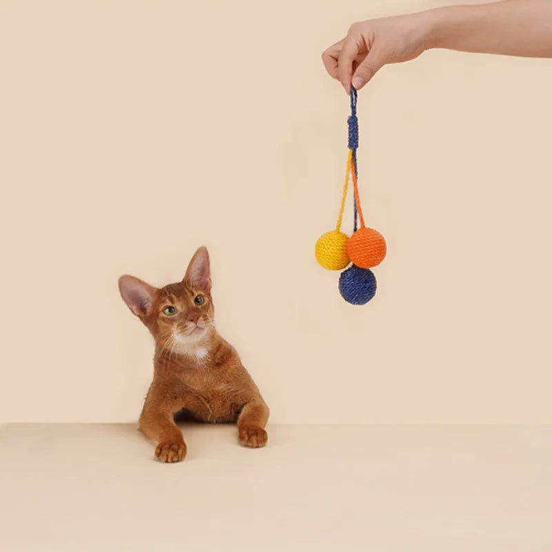 Cat toy set with teaser stick and catnip ball in blue, green, red, yellow colours