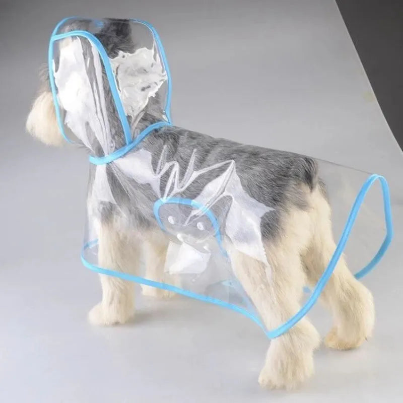 Blue plastic pet raincoat for small dog displayed on white background
