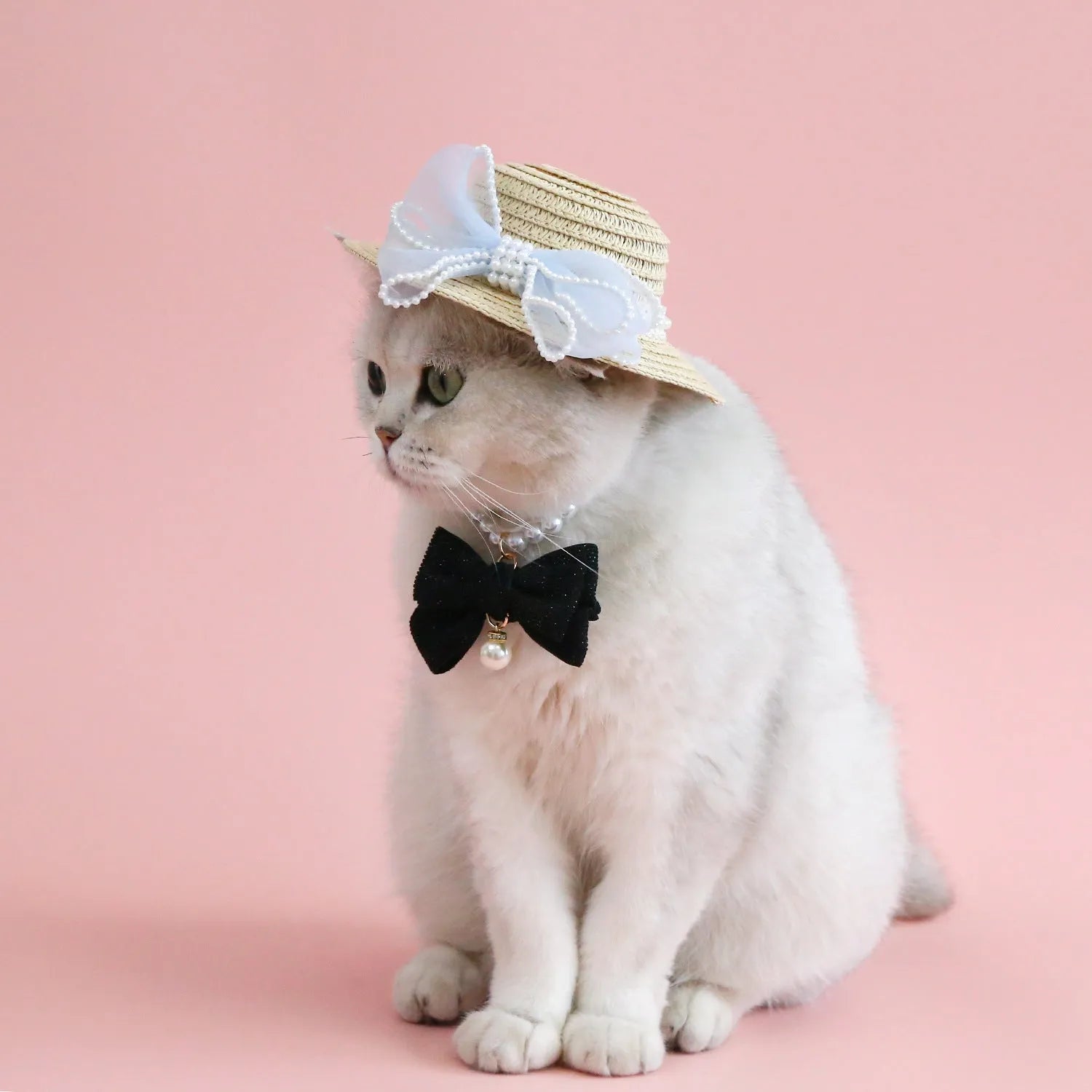 Woven Lafite leaves cat hat in princess style with pearl butterfly decoration for pet fancy dress