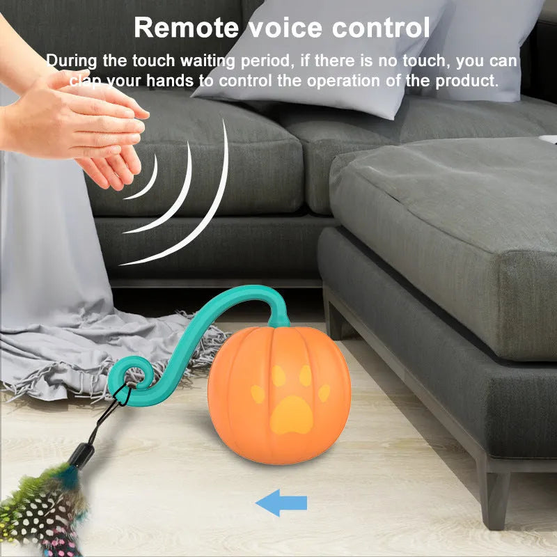 Electric cat toy ball with LED lights in watermelon design for indoor pet play