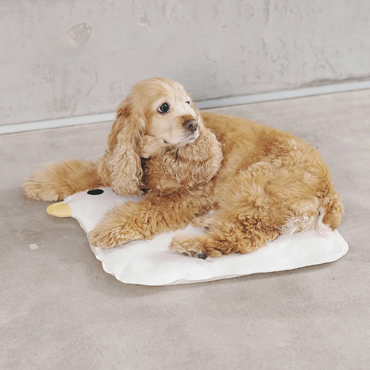 Yellow chick-shaped pet cooling mat on a wooden floor, showing non-stick fabric surface.