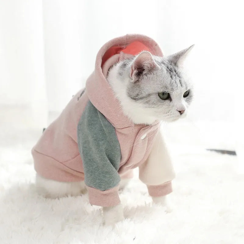 A brown cotton sweatshirt for a dog or cat, shown in size XL.