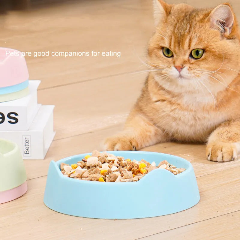 Ceramic dog slow feeder bowl with maze design in blue green or pink for small and large breeds