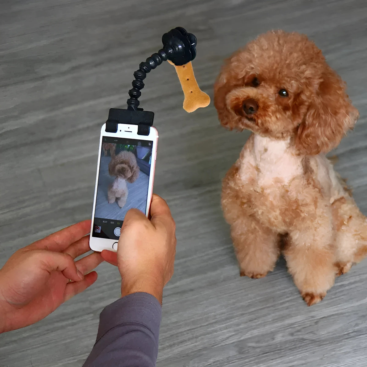 Black plastic pet photography clip holding a phone, with a rotating arm to grip dog or cat treats for photos.