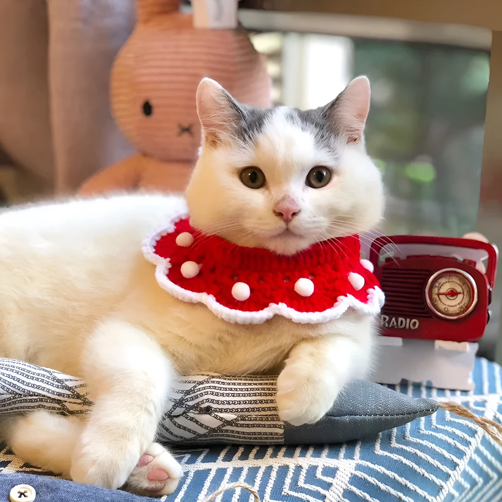 Wool knitted pet collar with cartoon pattern for cats dogs rabbits in milk cotton material