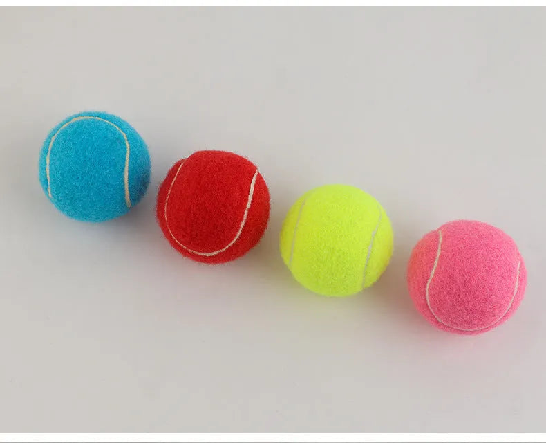 6.3cm diameter rubber dog tennis ball toy in assorted colours for medium large breed dogs