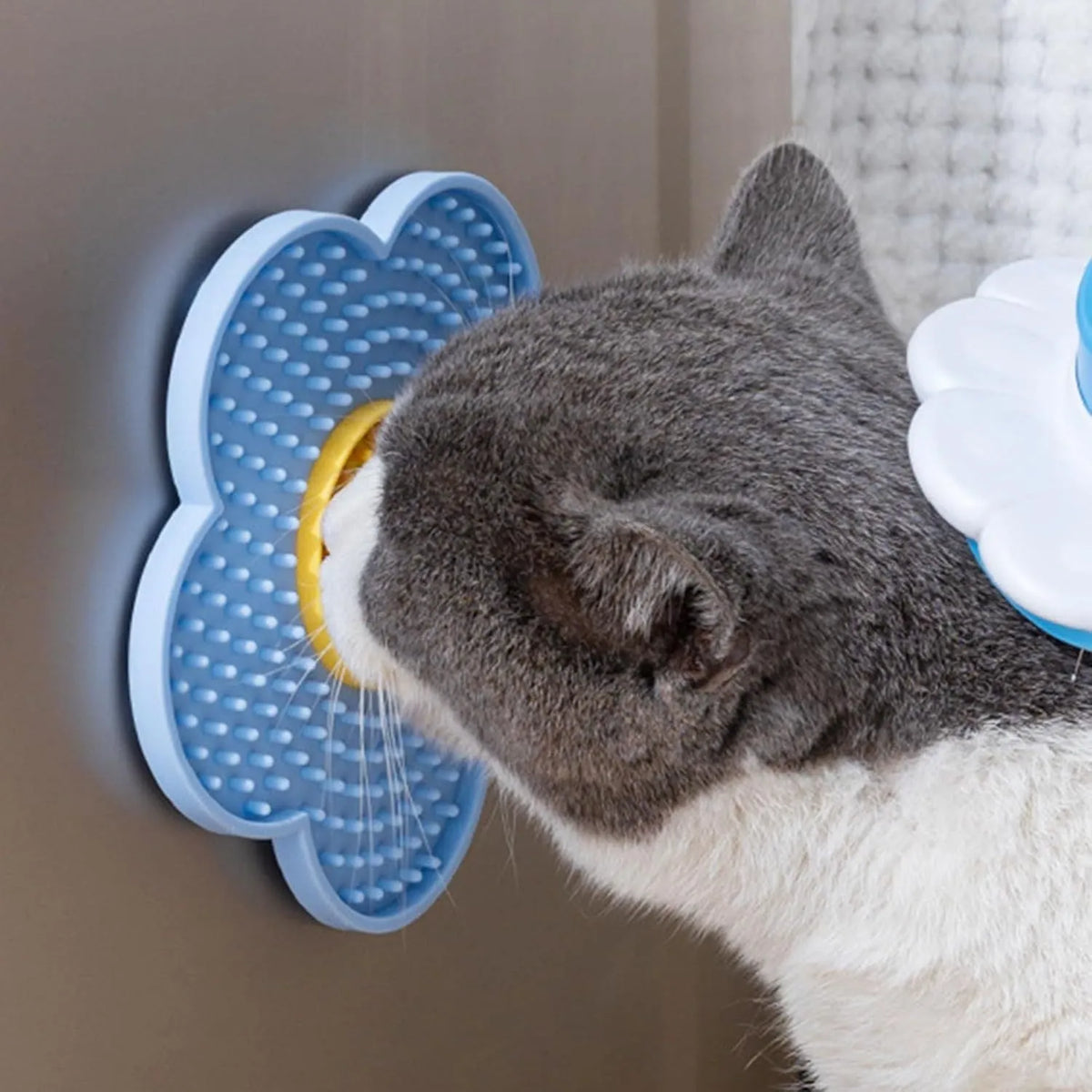 Flower-shaped silicone pet licking mat with suction cups in blue, grey, pink, purple, or red.