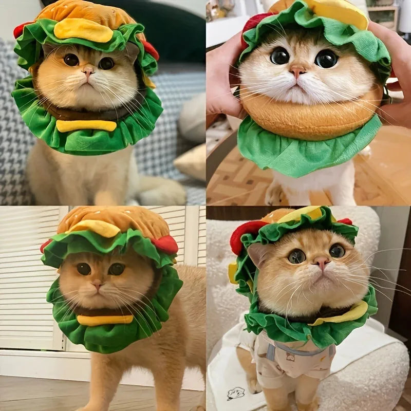Cat wearing a foam burger headdress on a fabric cone collar for costume events.