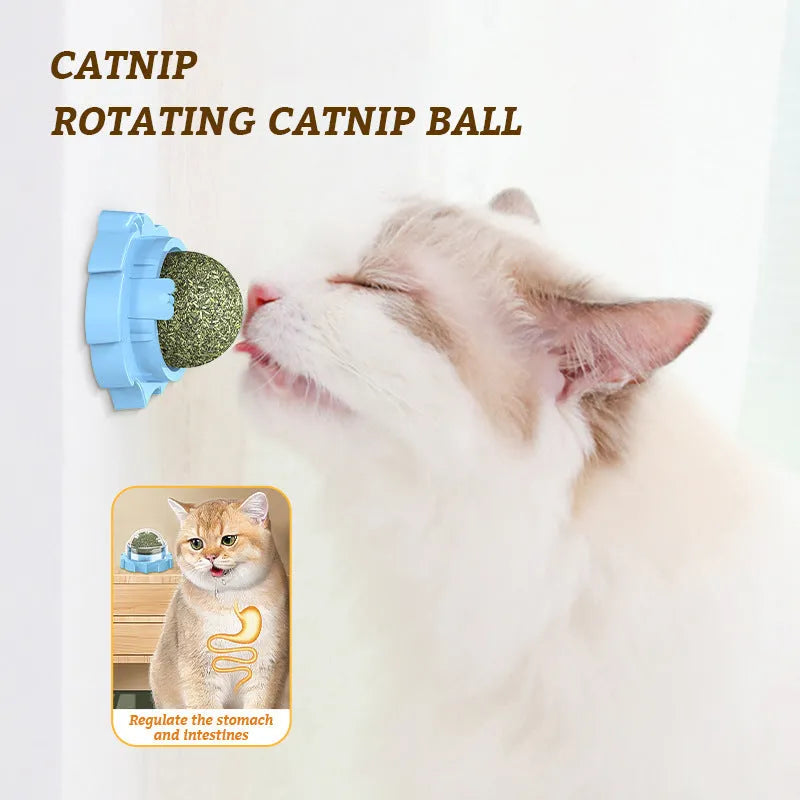 Lion catnip molar pet toy with sticky paste in orange colour, 15cm diameter, PP material