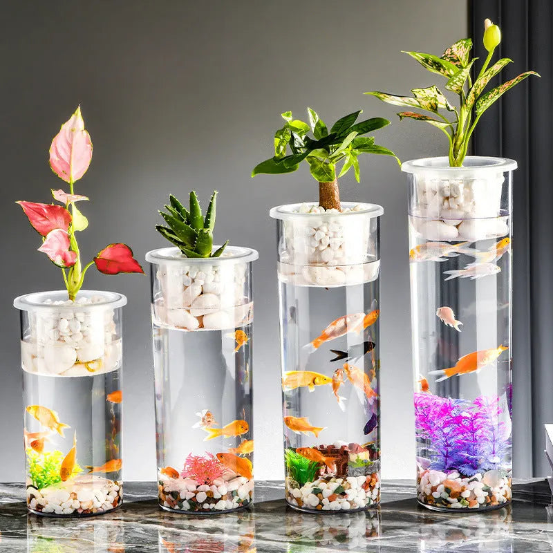 Transparent column fish tank made of PET and PP, cylindrical shape for desktop aquarium or micro landscape pot.