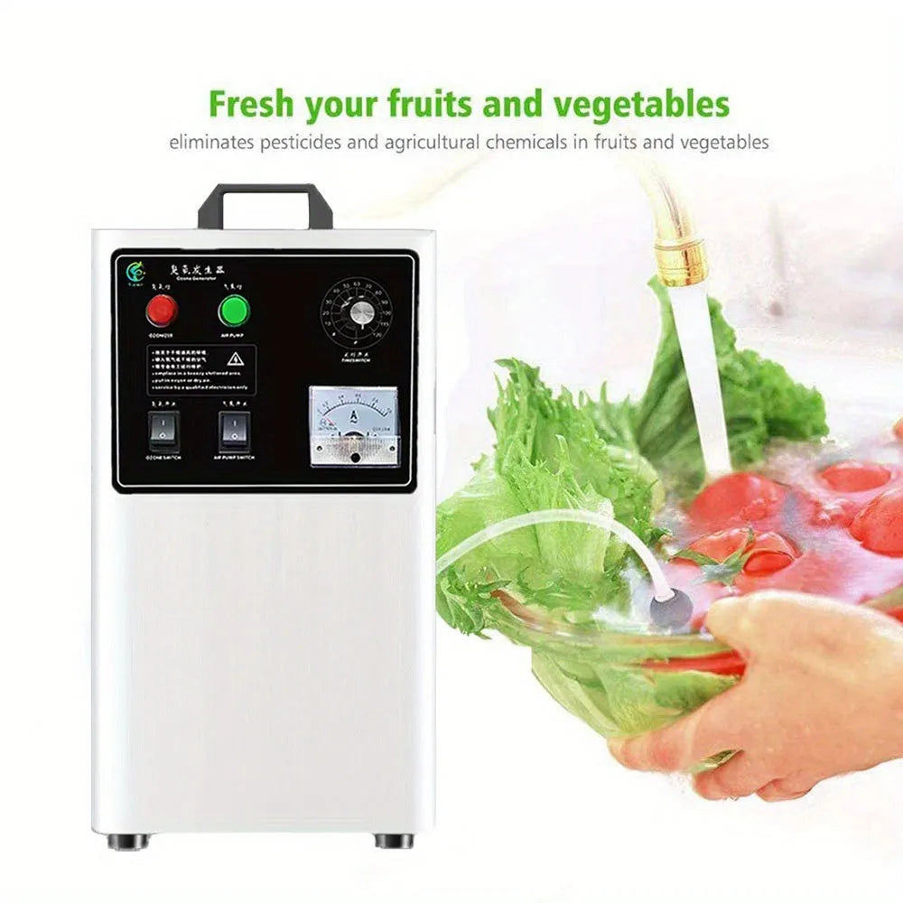White and stainless steel ozone generator for fruit and vegetable treatment with 20g/h output