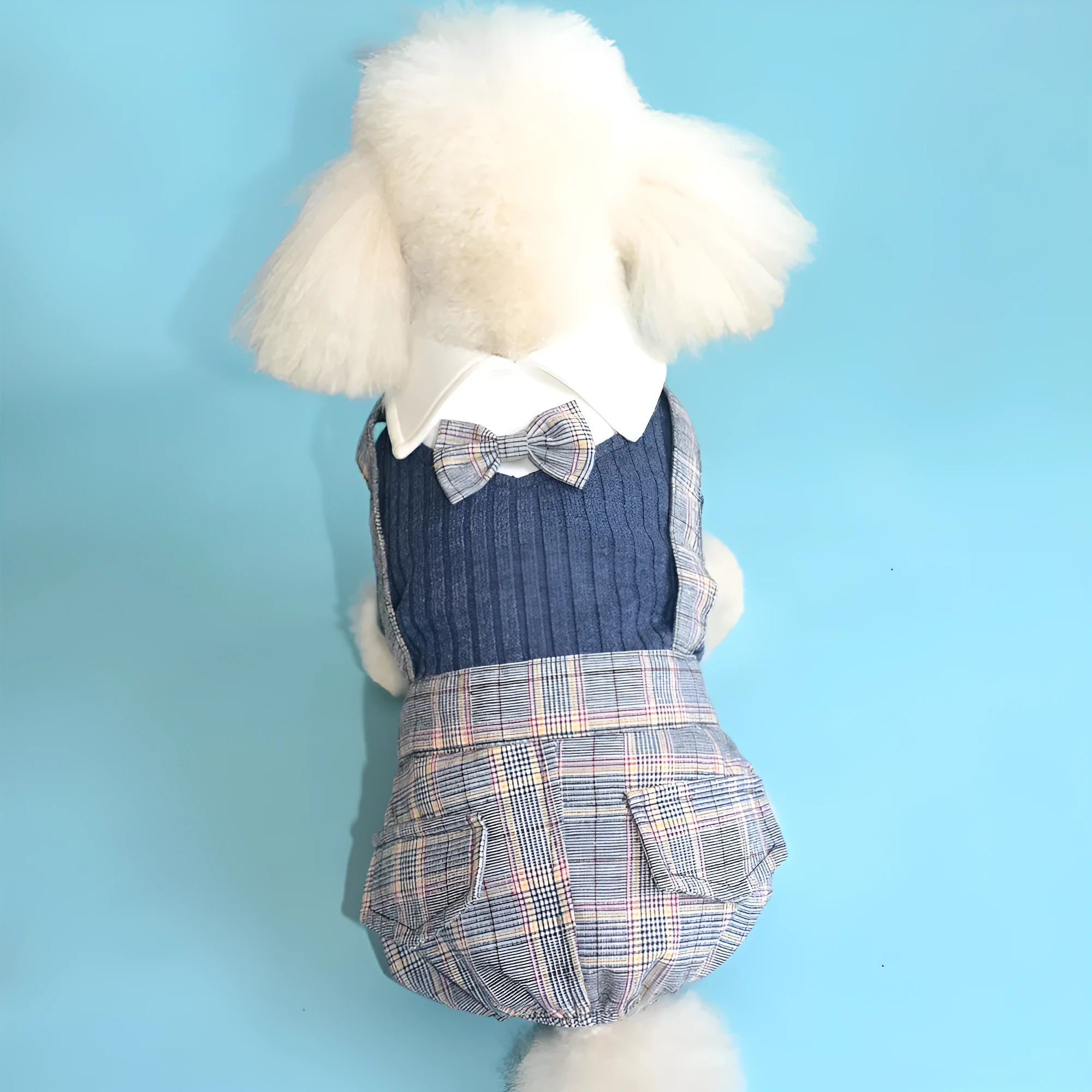 Orange and dark blue cotton dog suit shirt for small dogs in S to 2XL sizes