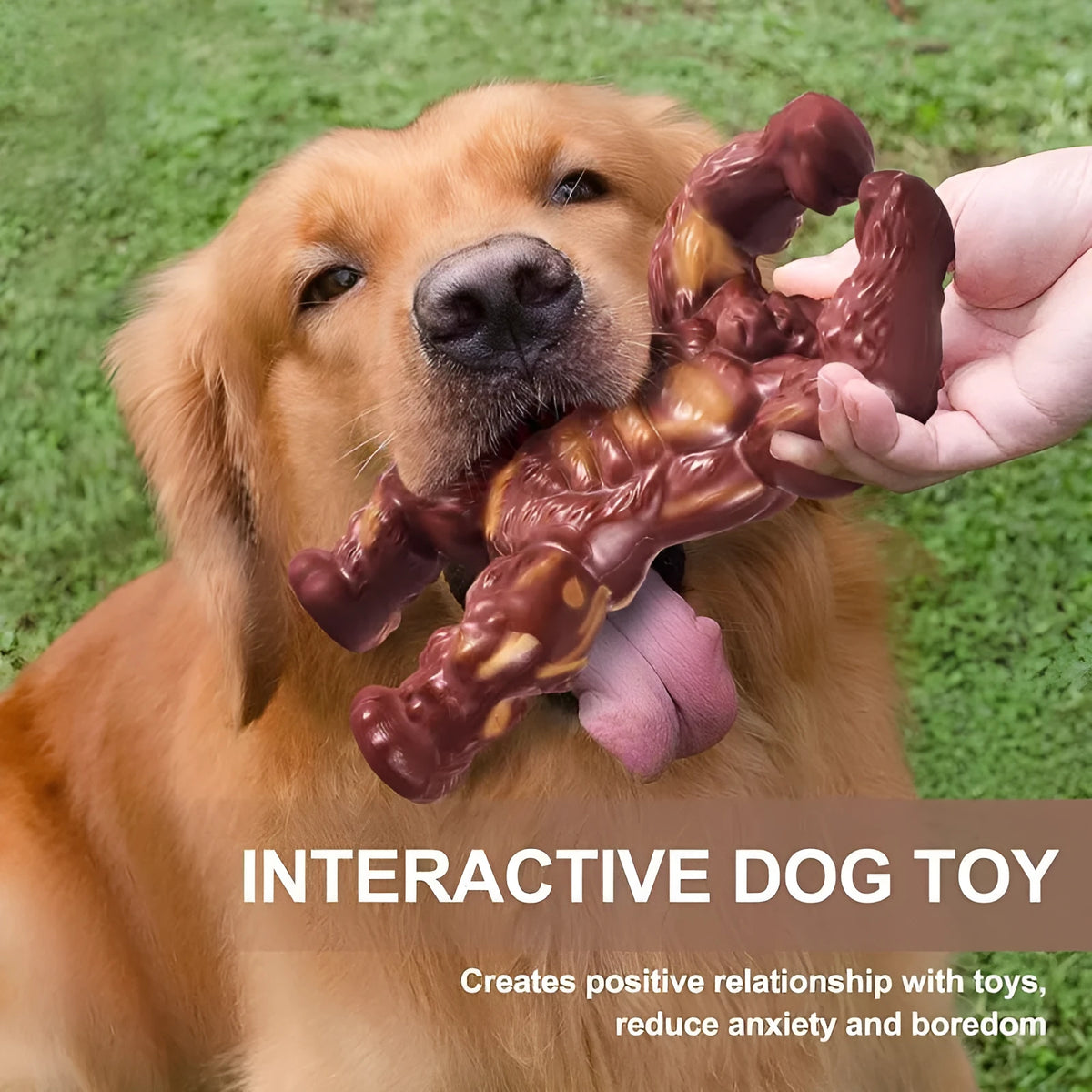 Scarlet nylon dog chew bone toy with beef scent for molar nibbling