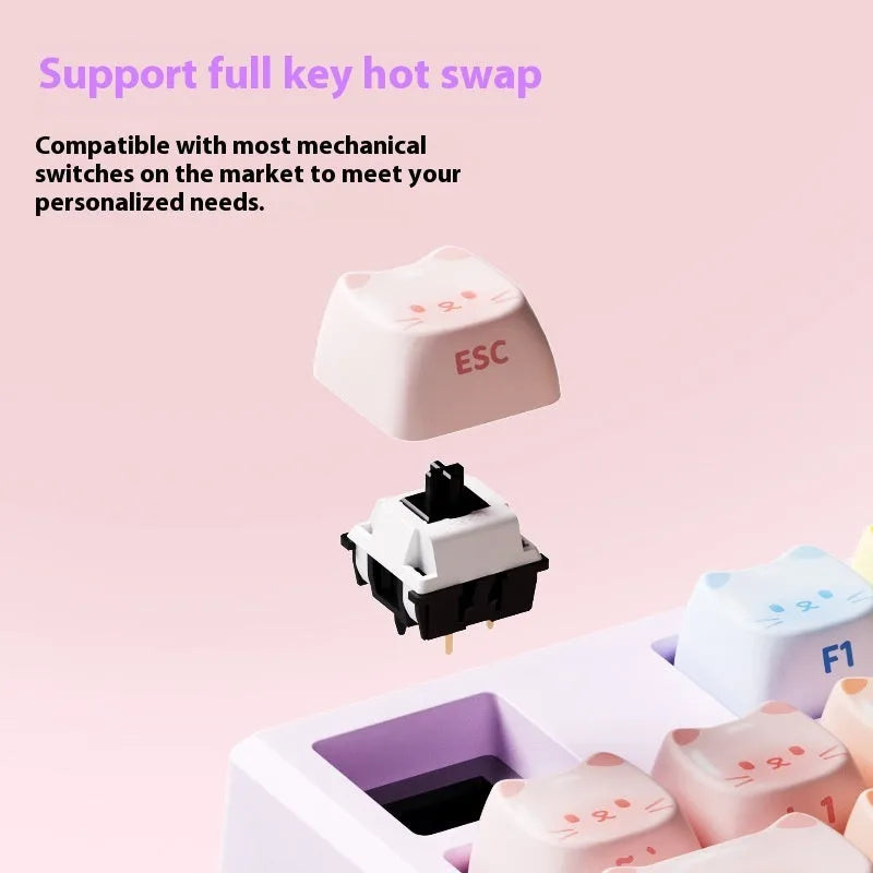 Coloured sugar cat theme Bluetooth mechanical keyboard with piano switches on a desk.