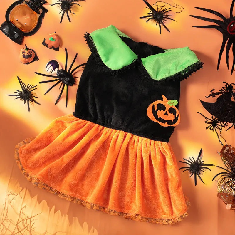 Pet dog wearing a classic orange pumpkin skirt Halloween costume made from Crystal Velvet fabric.