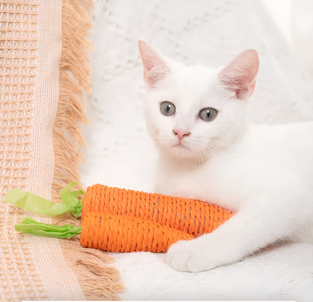 Bundle of cat toys including carrot-shaped paper bites, ringing stones, slender cat sticks and tooth grinding chews