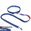Reflective nylon dog leash with 2.5cm width shown in grey and green colour combination