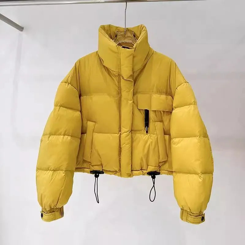 Korean-style stand collar short puffer jacket in solid colour with pleats and princess sleeves, available in yellow, black, raspberry red, and blue