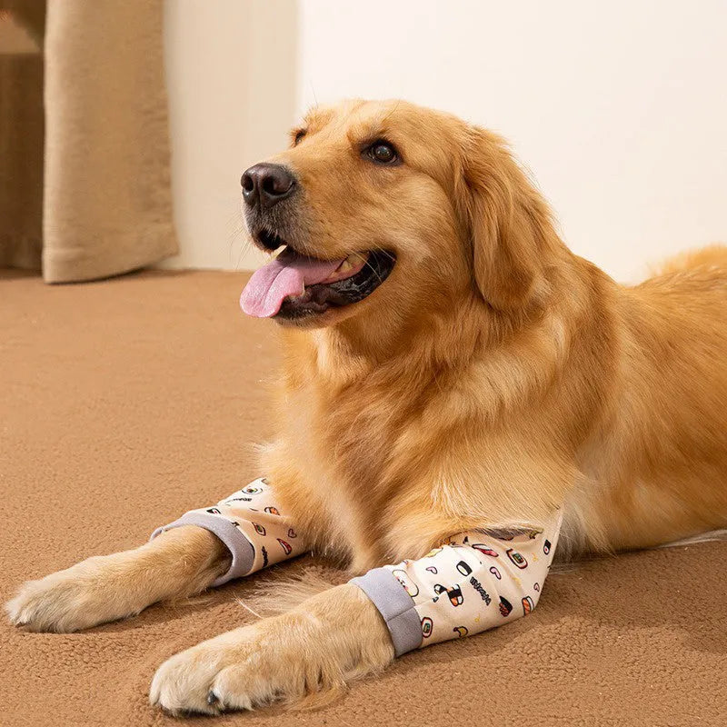 Blue dog knee protector with extra-thick padded elbow patch and adjustable buckle, shown with matching scarf