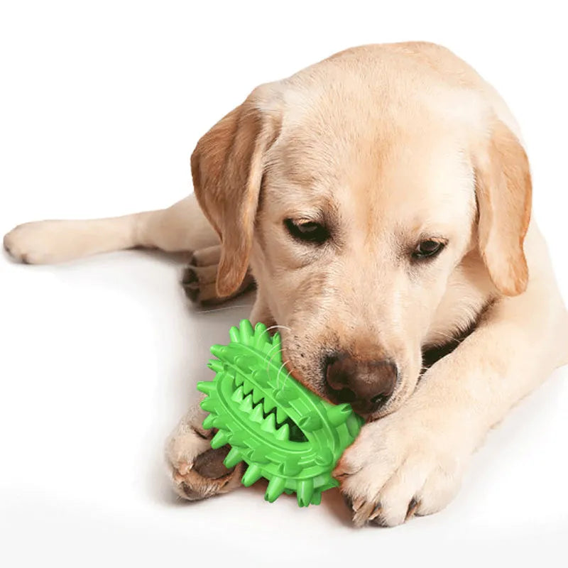 Green cactus-shaped dog chew toy with textured bumps for dental cleaning on a white background.