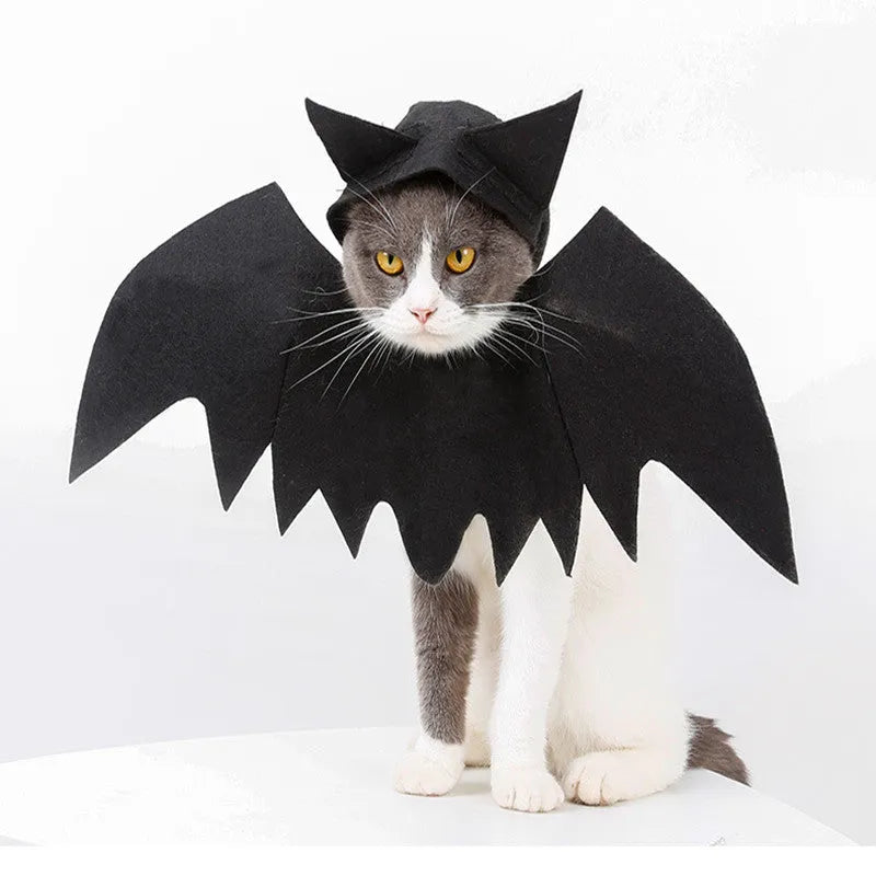 Black felt bat wing costume for cats and dogs with Velcro strap, size L shown on a pet