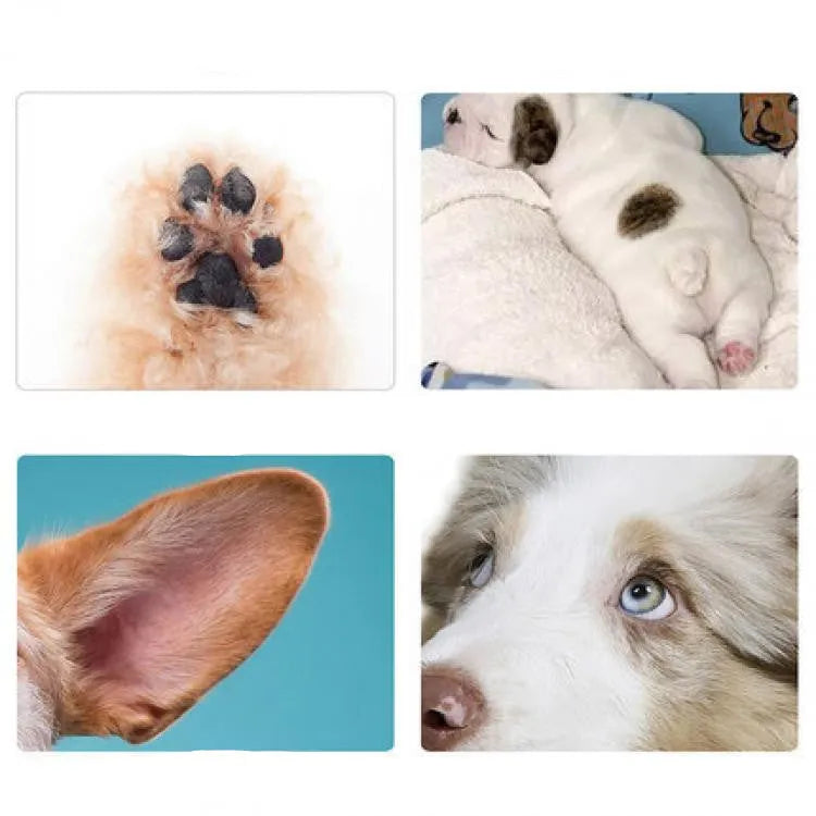 White rechargeable pet grooming trimmer with ceramic blade, USB charging and compact 16cm body for paw and foot trimming