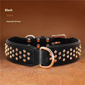 Leather dog training collar with stainless steel anti-bite rivets in black, chocolate, or pink colour options