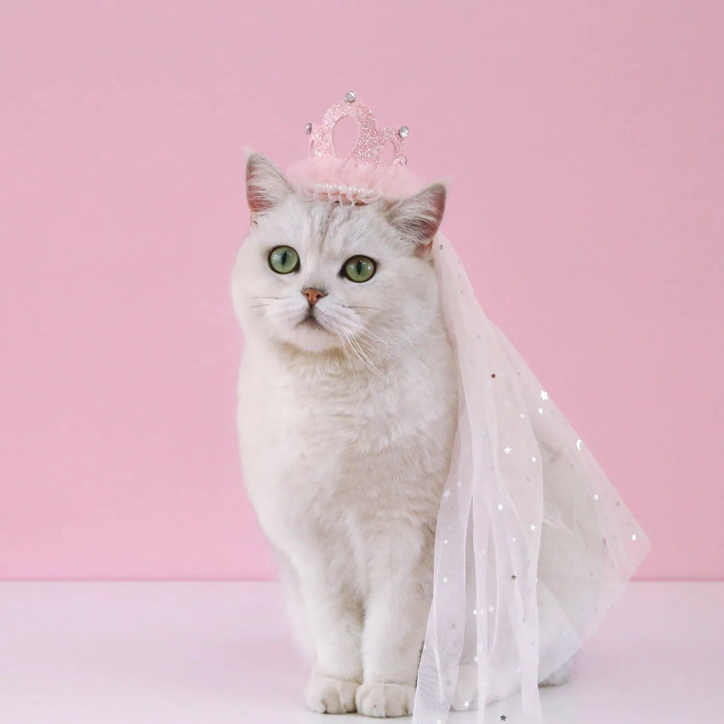 Pet princess crown headdress with beige veil on cat for wedding costume