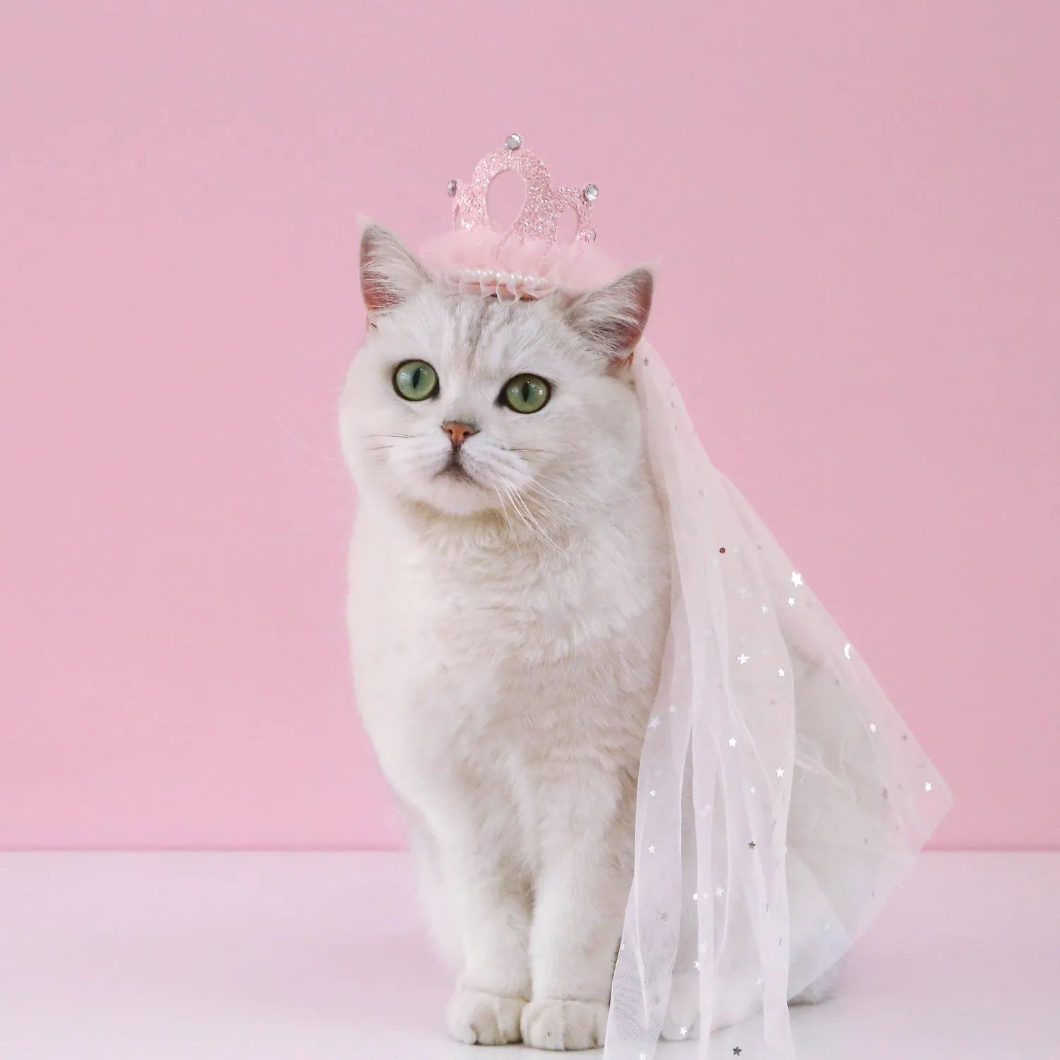 Pet princess crown headdress with beige veil on cat for wedding costume