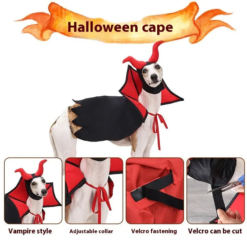 Black Halloween vampire costume for a pet, featuring a long cloak and pointed witch hat.