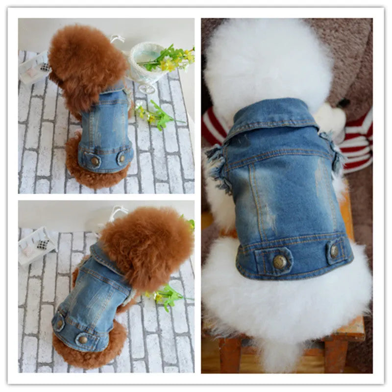 Denim dog vest with retro scratch pattern for autumn and winter pet clothing