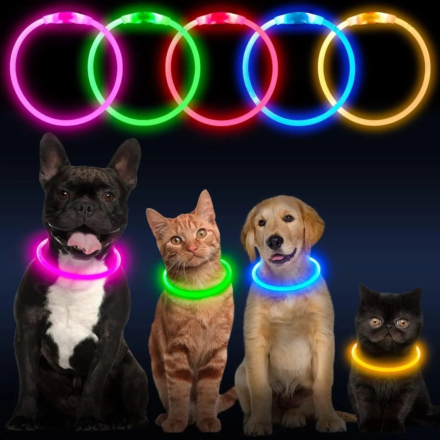 LED glowing dog collar with USB charging port and adjustable 70cm length