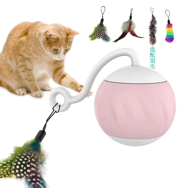 Electric cat toy ball with LED lights in watermelon design for indoor pet play