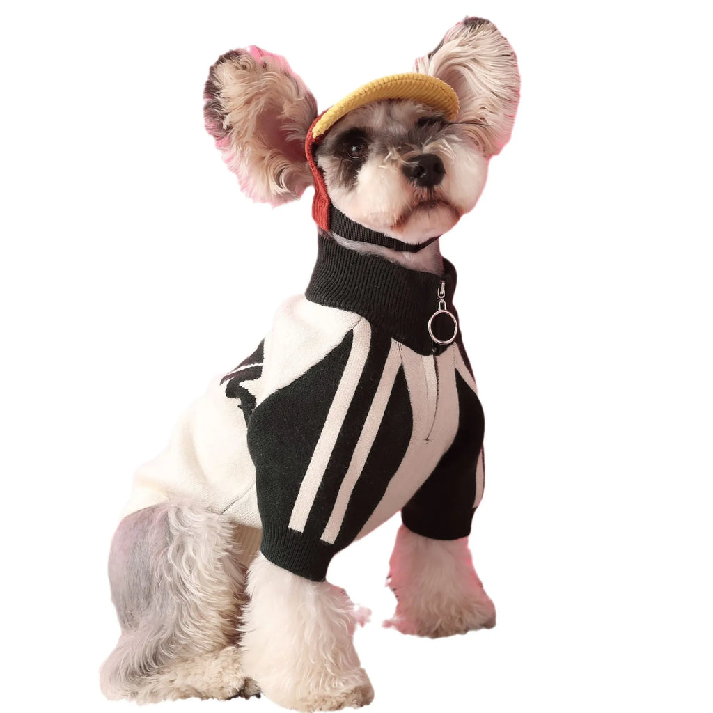 Red wool dog cardigan sweater shown on canine model with front opening and casual sports style